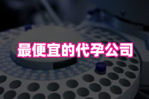 幸孕 1