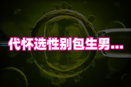 幸孕 2